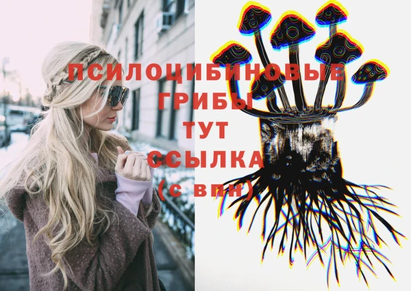сатива Зеленодольск